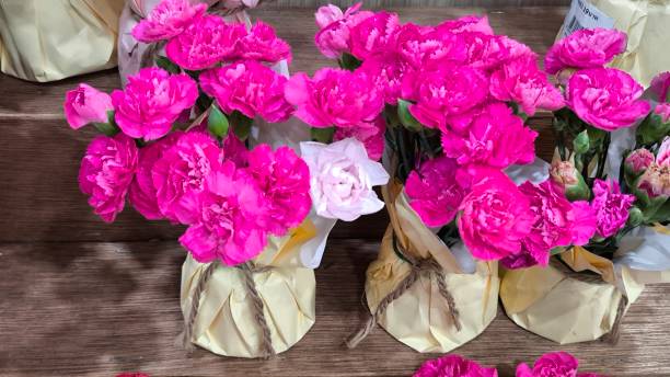 istock Pink flowers in the shop 2201253920