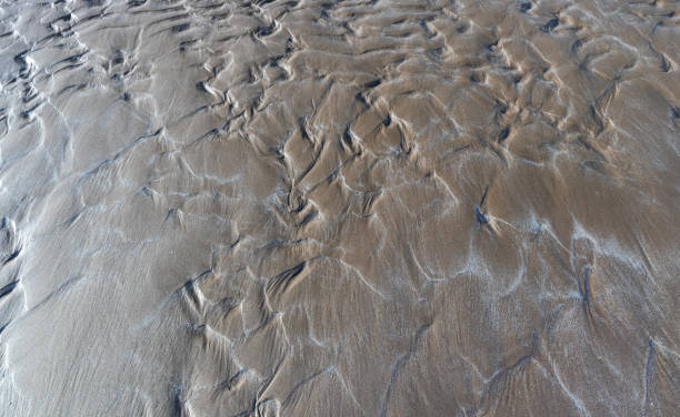 istock Natural patterns in sand on beach, New Brighton, Wirral, Merseyside, England, Britain 2201254570