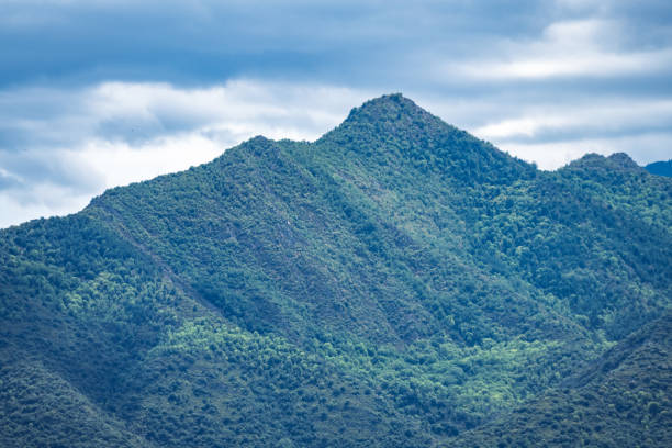 Majestic north face of Mount Canigo in the Pyrenees covered with green forest.