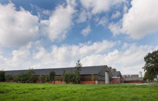 istock Modern poultry barn in rural landscape. 2201256875