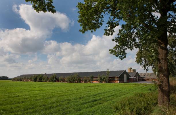 istock Modern poultry farm in landscape at countryside 2201257018