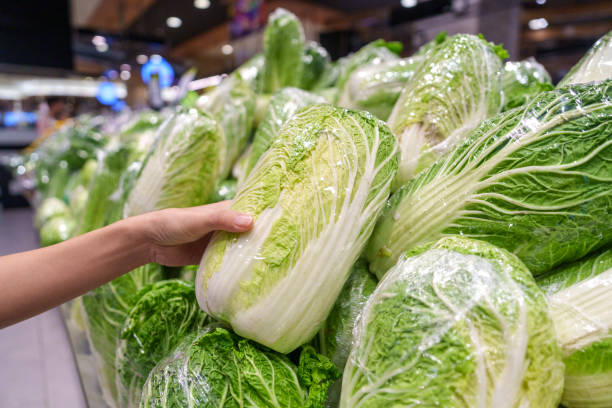 Fresh Peking Cabbage Selection at Grocery