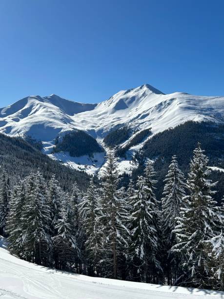 istock Majestic Peaks Under a Clear Blue Sky! 2201267406