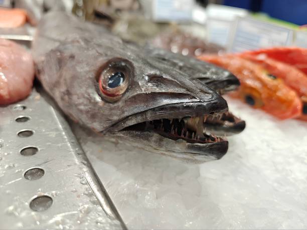 istock Hake head on ice in the supermarket 2201268482