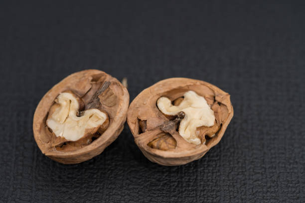 A nutcracker sits on a heap of nuts, with a walnut in its grasp.