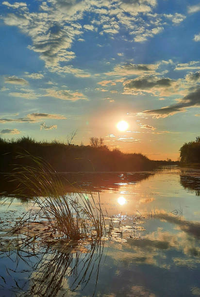 istock sunset on the river summer evening reeds sun reflection in the river 2201274249
