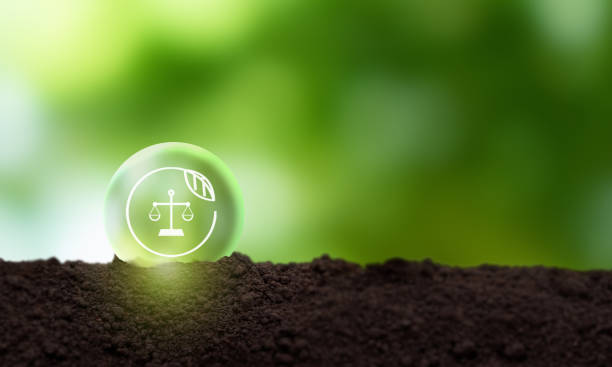 istock Business and environmental ethics concept. Green nature background with environmental laws, green laws, ethics icon. Environmental law, regulation, business has obligations to protect the environment. 2201274583