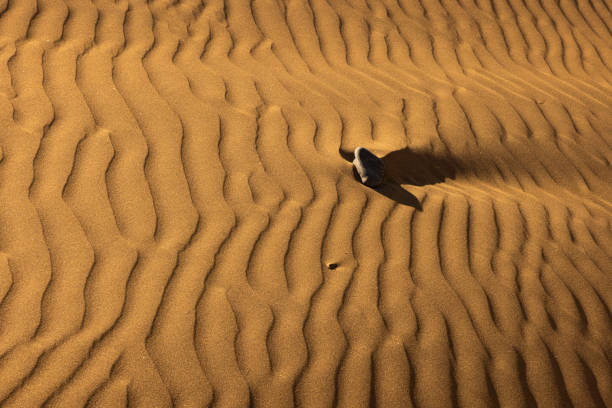 Sanddunes near Maspalomas and  Playa des Ingles on Gran Canaria, Spain.