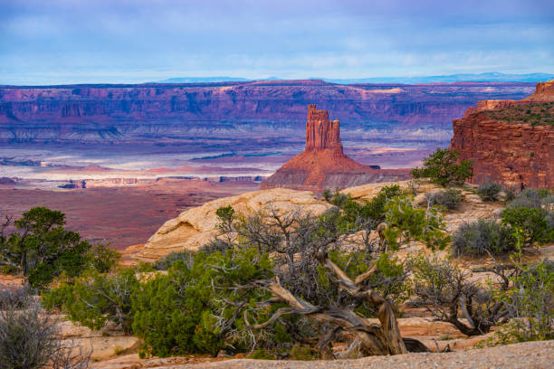 istock Canyonlands National Park desert landscape 2201278753