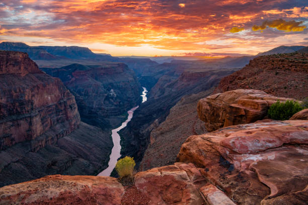 istock Grand Canyon National Park 2201278884