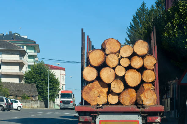 Rear view of truck loaded with logs on the road. Timber industry. Galicia, Spain. Clear sky, road, village in the  background.