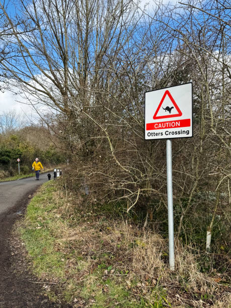 The warning sign is a silhouette of a mouse in a yellow triangle on a white background, an isolate. The sign \
