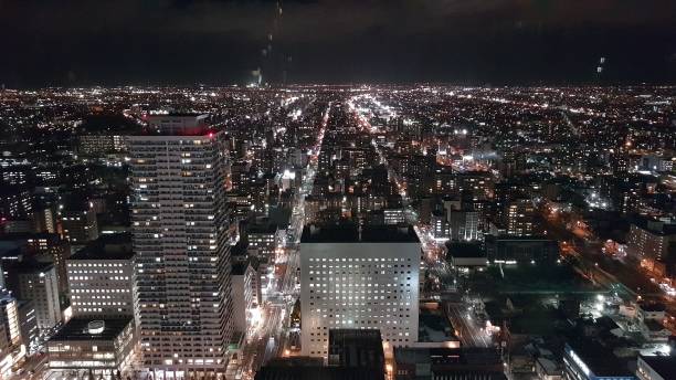 Aerial View of Sapporo by Night. Tower of Jig Saw Software Company at left, Nishi 3-chome avenue and Sapporo Joint Government Office Building in the middle. Hokkaido, Japan.
