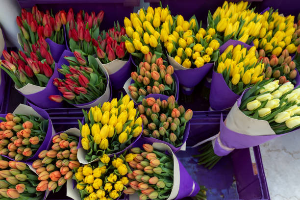 istock Colorful tulip bouquets a flower market. 2201309751