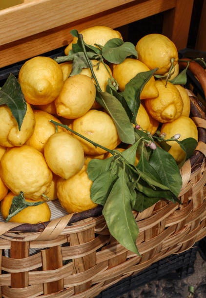 istock Lemon crate at Positano Fruit market with large Amalfi coast lemons 2201312113