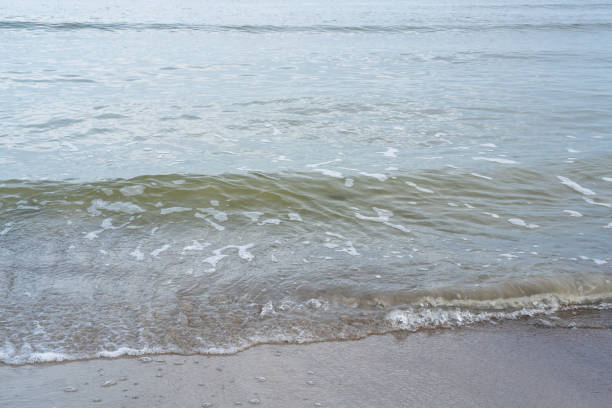 Baltic Sea bay in late autumn, seen, small waves with sandy shore, sky overcast, slow motion shutter, from close distance, coastline and water textures