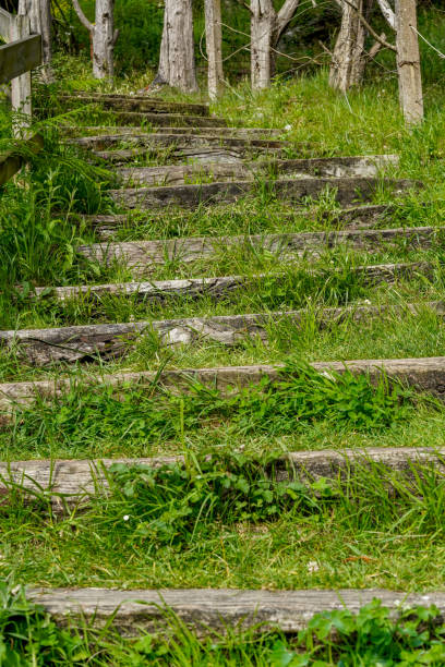 istock Wooden stairs to the top 2201317170