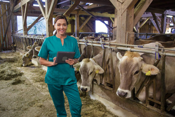 istock Female veterinarian with digital tablet in barn 2201319250