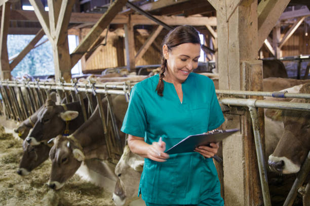 istock Female veterinarian with note pad in barn 2201319266