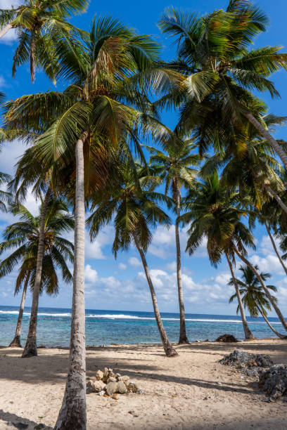 Playa frontón Samaná, en la República Dominicana