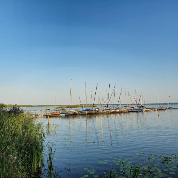 A beautifully serene view of a picturesque marina filled with sailboats, reflecting the calm waters and a clear sky
