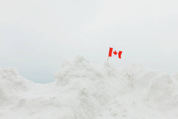 istock Canadian Flag in a Snowbank 2201326753
