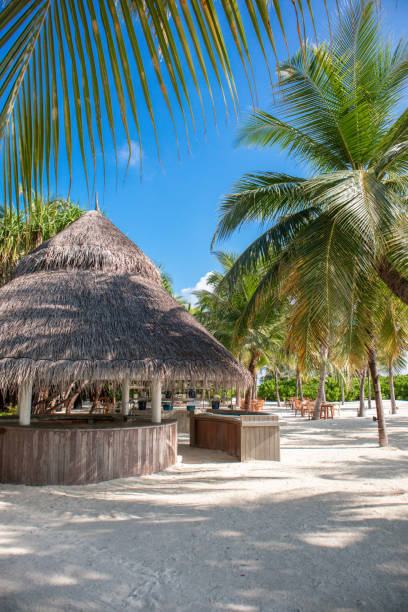 Thatched bungalow hut at Beach Restaurant by the Sea with outdoor chairs and table setting under palm trees in luxury  Maldives island resort