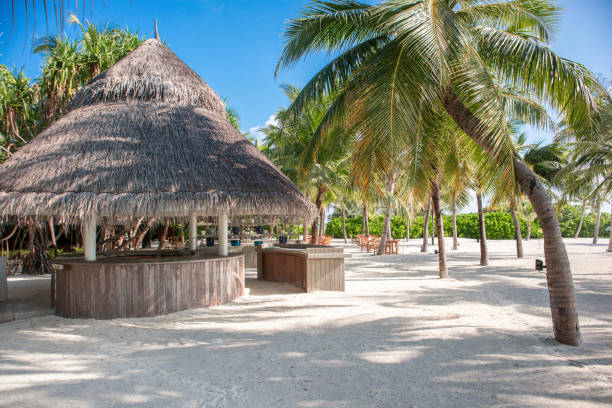 istock Thatched bungalow hut at Beach Restaurant by the Sea with outdoor chairs and table setting under palm trees in luxury  Maldives island resort 2201334192