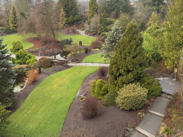 istock landscaped park with green plants and paths 2201337762