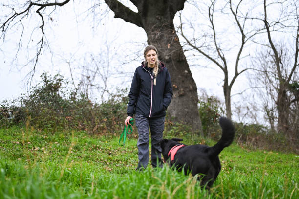 istock Pet owner with dog outdoors. 2201339806