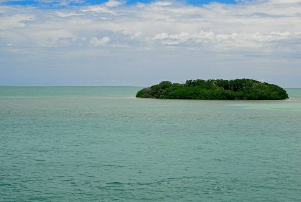 istock Island in green waters of Florida bay 2201340855
