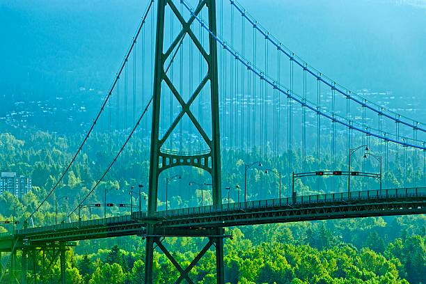 View of Lions Gate Bridge in Vancouver from Stanley Park, British Columbia
