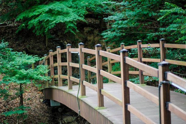 istock Long walking path stairs for walking in the woods among 2201362318