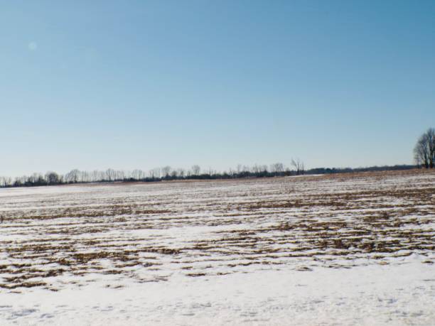 istock Field with snow and blue skies. 2201365811