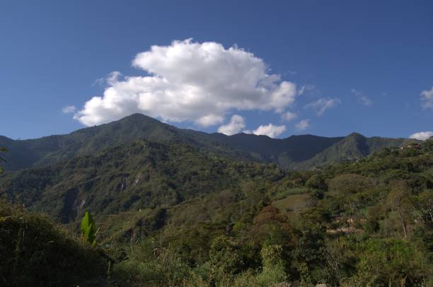 istock Mountains of Tachira State. 2201370203