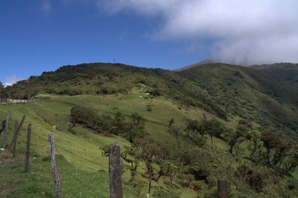 istock Mountains of Tachira State. 2201370211