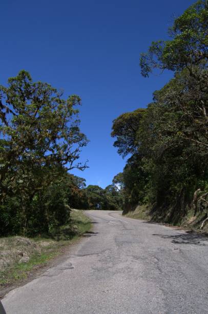 istock Communication routes and parks in Tachira. 2201371809