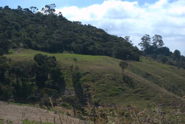 istock Mountains of Tachira State. 2201375043
