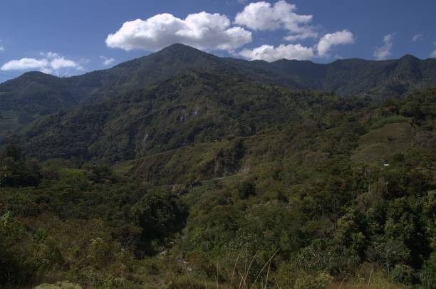 istock Mountains of Tachira State. 2201375688