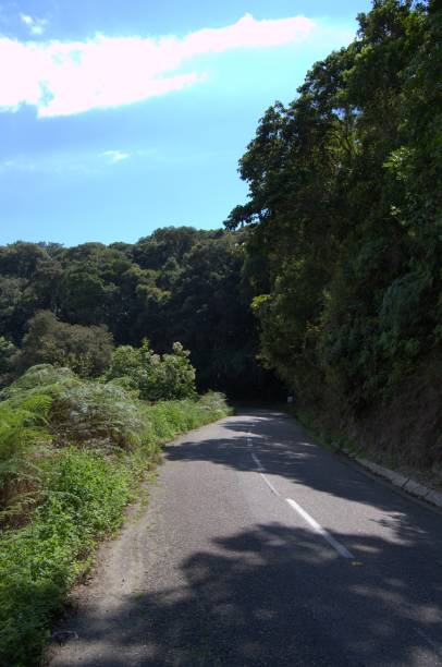 istock Communication routes and parks in Tachira. 2201376111