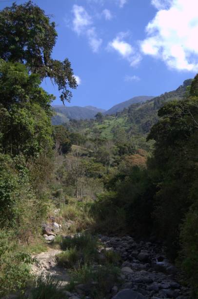 istock Rivers and water sources in Tachira. 2201376181