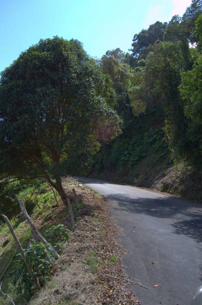 istock Communication routes and parks in Tachira. 2201376201
