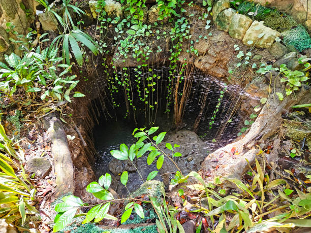A cenote is a natural pit, or sinkhole, resulting when a collapse of limestone bedrock exposes groundwater. The term originated on the Yucatán Peninsula of Mexico.