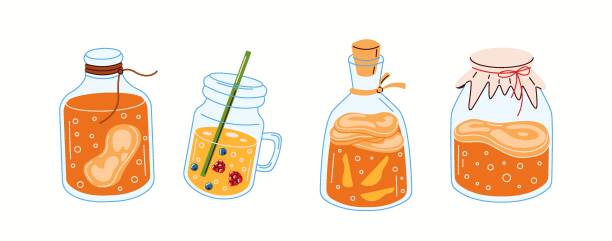 Different types of kombucha brewing jars and bottles Illustration featuring various kombucha brewing containers, including mason jars and bottles, filled with probiotic tea and natural ingredients. kombucha jar stock illustrations