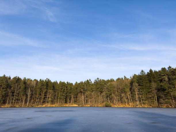 Frozen Winter Lake with Distant Pine Forest and Blue Sky