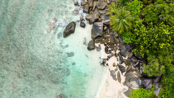 istock Dense tropical forest meets white sandy beach. Seychelles, Mahe. 2201393222