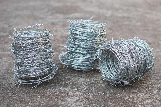 Rolls of metal barbed wire. Concept, construction tool. Barbed wire is used for make fences , secure property ,make border to show the territory of area.