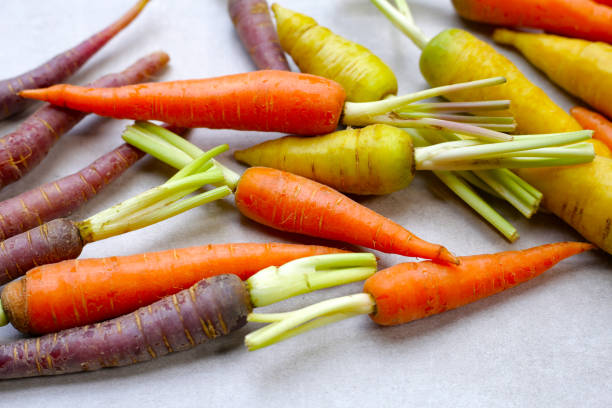 istock Fresh carrot vegetables, Ripe carrots 2201402332