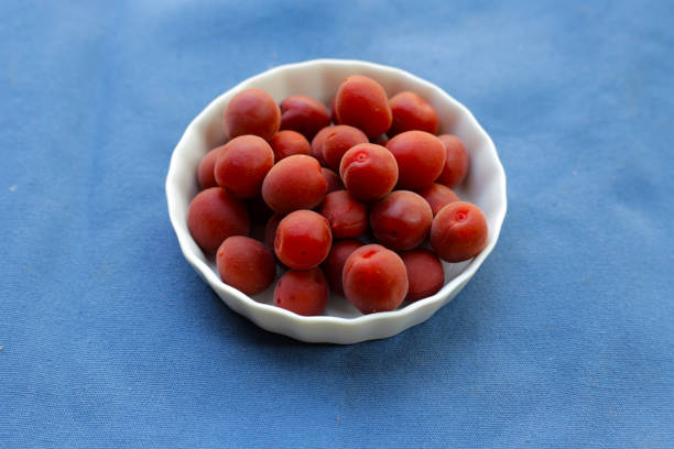 A lot of pickled plums.