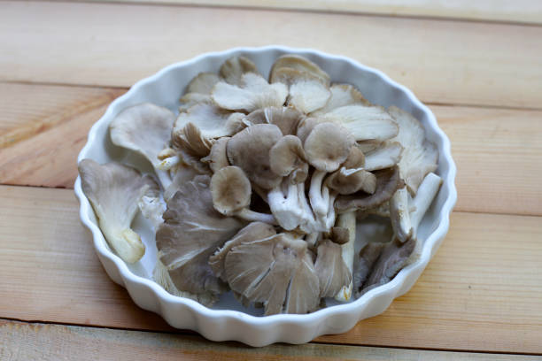 istock Oyster mushroom or lung oyster 2201402567